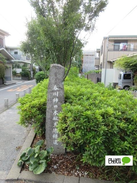 呑川柿の木坂支流緑道：815m