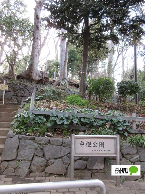 中根公園：881m