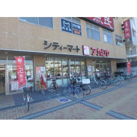 西宮ステーションビル 部屋写真13 【スーパー】アカシヤ　ＪＲ西宮駅前店まで