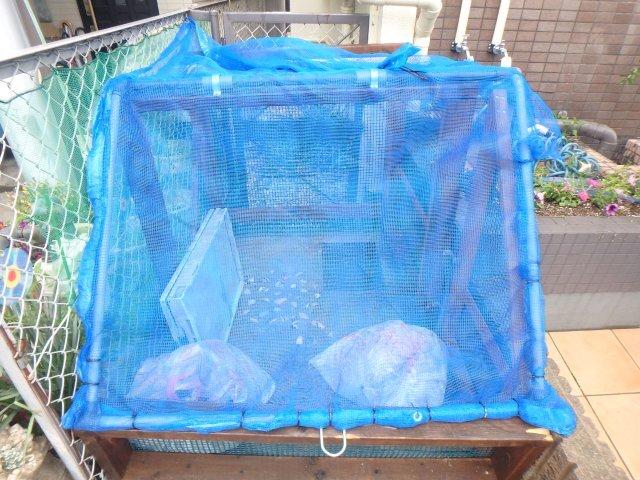 ガーデン協和 部屋画像