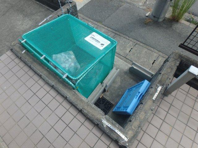 パセオ西宮 部屋画像