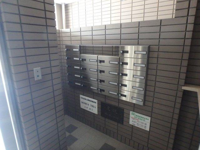 ドムストリア 部屋画像