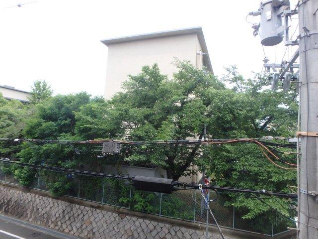 ダイドーメゾン西宮北口 部屋画像