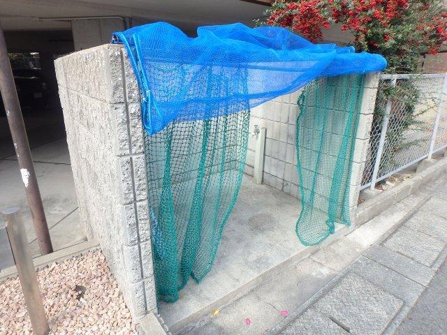 シロハイヌ門戸 部屋画像