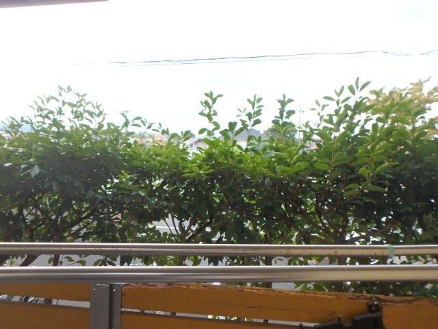 ペアコート仁川 眺望