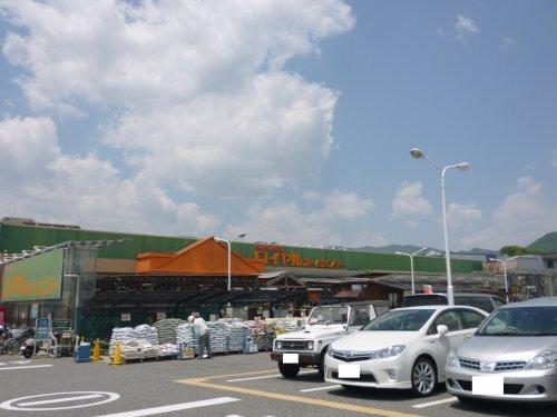 シェルプール弐番館 部屋画像