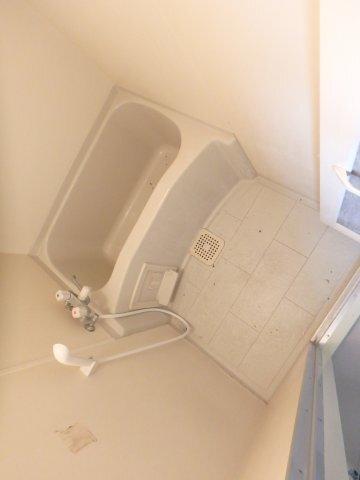 ステラハウス３９ 部屋画像