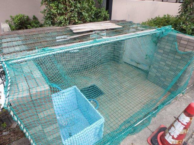 リッツメイト 部屋画像