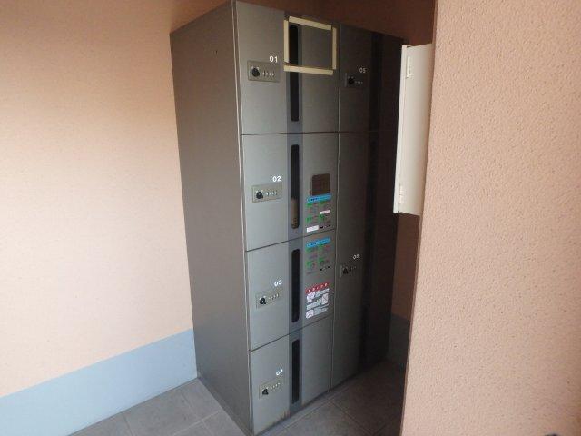 ＴＺ　ＲＥＡＬ 部屋画像