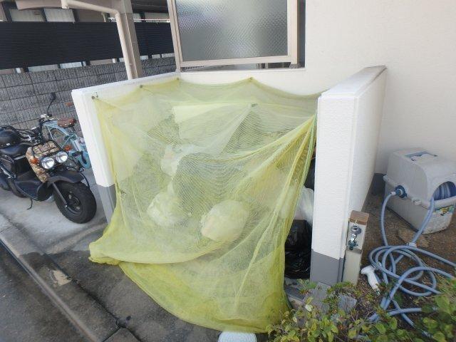ＴＺ　ＲＥＡＬ 部屋画像
