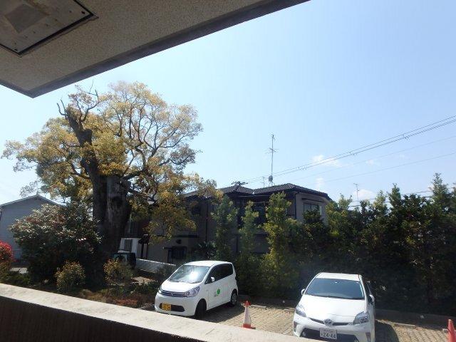 ＣＡＳＯＮＡ 眺望