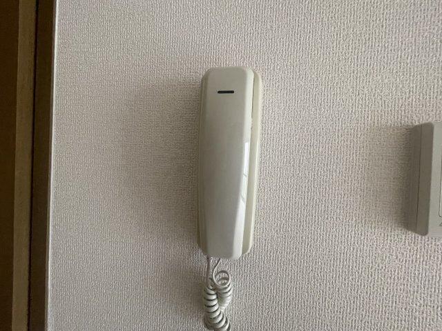 マドレ・ミホ セキュリティ