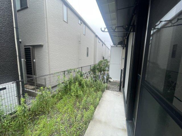 マドレ・ミホ その他