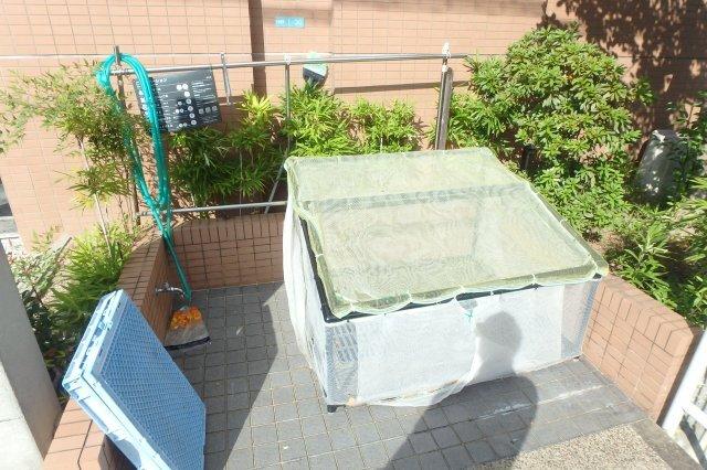 エトールⅣ 部屋画像