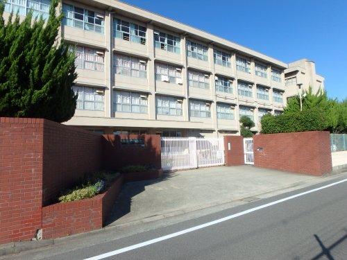 ＩＯ甲子園一番館 部屋画像