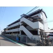 外観も気になるポイント