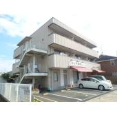 外観も気になるポイント