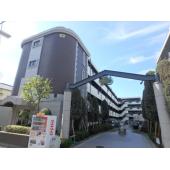 見た目の良い物件です
