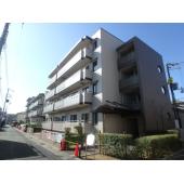 外観もきれいです