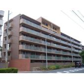 外観もきれいです