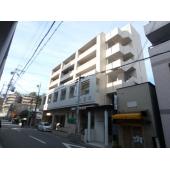 外観も気になるポイント