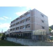 きれいな外観です