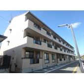 外観もきれいです