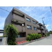 外観もきれいです