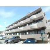 外観は落ち着いています