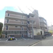 外観もきれいです