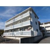 外観は落ち着いています