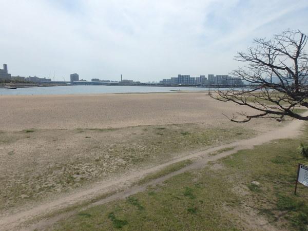公園