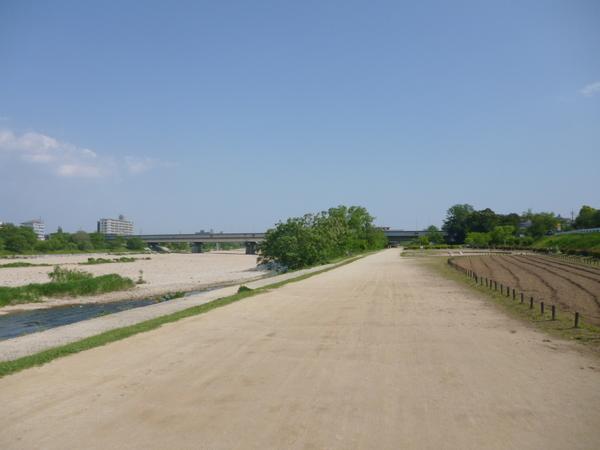 公園