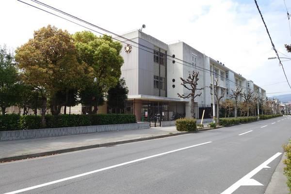小学校