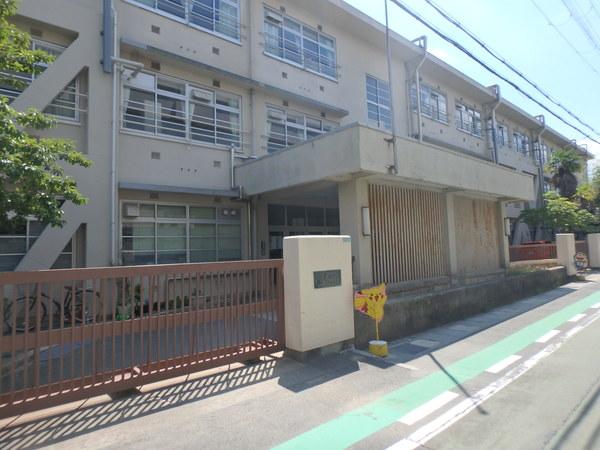 小学校