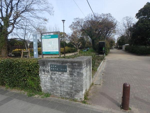 公園