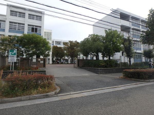 高校