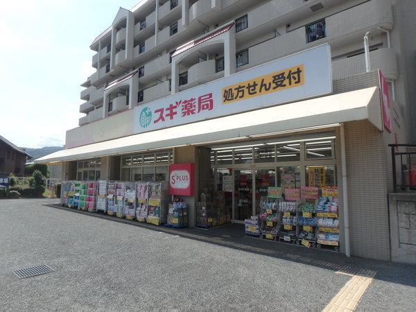 ドラックストア