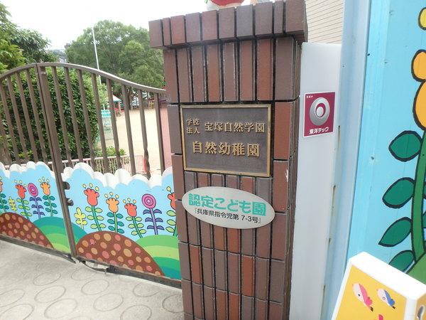 幼稚園、保育園
