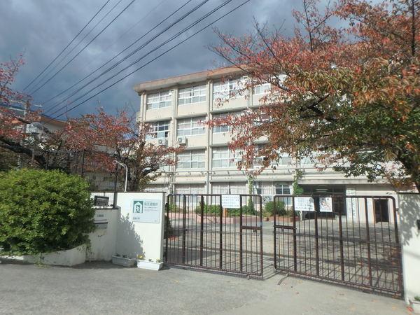 小学校
