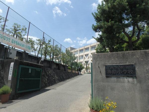 小学校