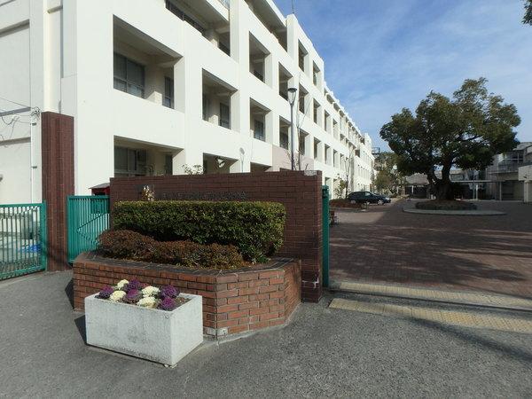 高校