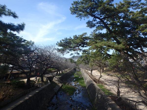 公園