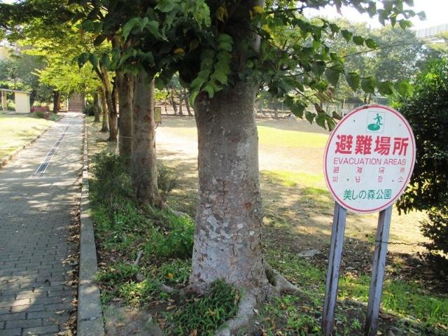 公園