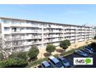 幸町東住宅10棟外観1