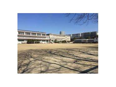 名古屋市立新郊中学校：867m