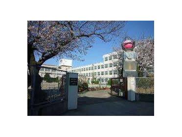 名古屋市立大磯小学校：605m