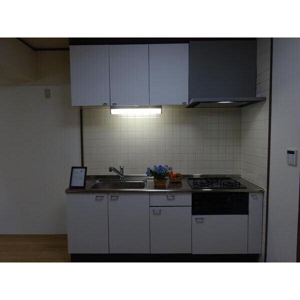 エステートEX白鳥マンション キッチン