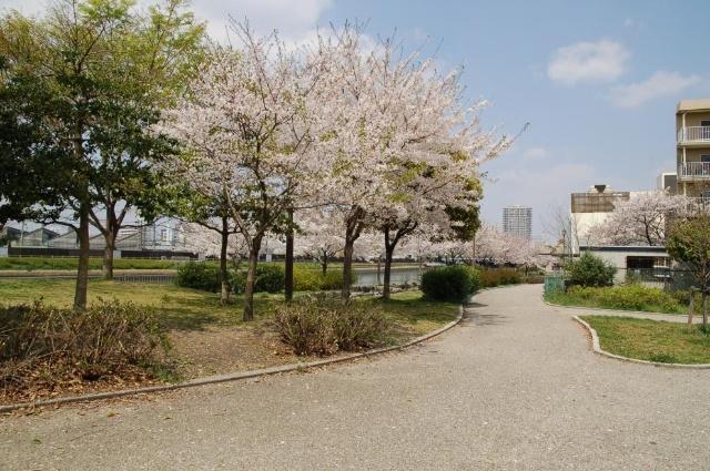 大瀬子公園：311m