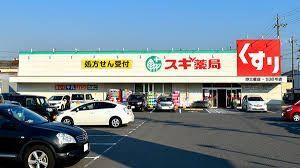 スギ薬局野立橋店：195m